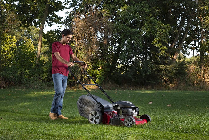 lawn-mowers-category